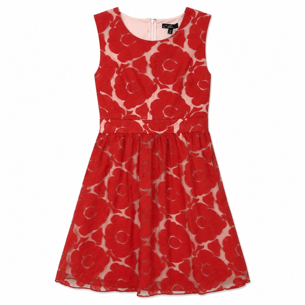 C. Luce Red Floral Fit & Flare Mini Dress NWT Size Large Embroidered